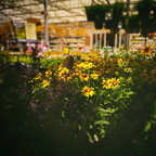 R0000891rg