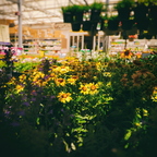 R0000891rg2
