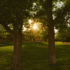 R0000913rg