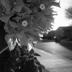 R0000914rg