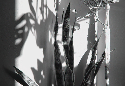 R0000908rg