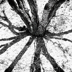 R0000953rg