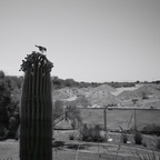 R0001022rg