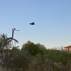 R0001109rg