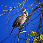 P5256689rg