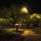 R0001237rg