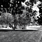 R0001255rg