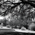 R0001261rg