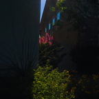 R0001392rg