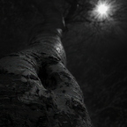 R0001442rg