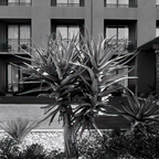 R0001494rg