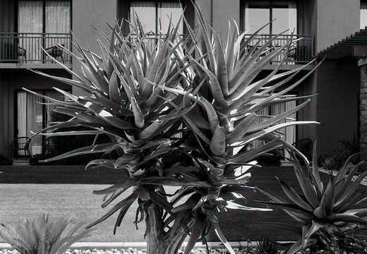 R0001494rg