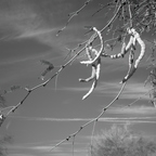 R0001514rg