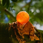 R0001523rg2