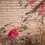 R0001544rg