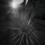 R0001560rg