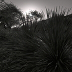 R0001563rg