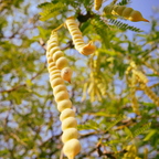 R0001622rg