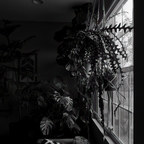R0001666rg