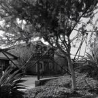 R0001664rg