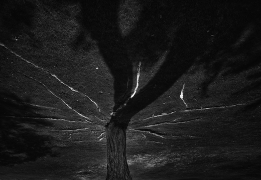 R0001759rg