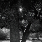 R0001965rg