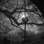 R0001949rg