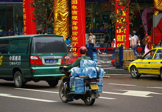 IMGP0730g