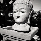 R0002338rg