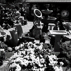 R0002350rg