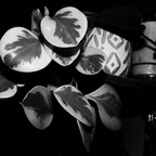 R0002367rg