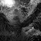 R0002439rg