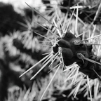 R0002461rg
