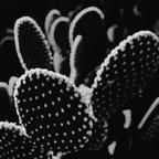R0002482rg