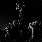 R0002523rg