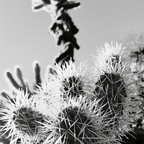 R0002537rg