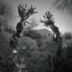 P2077048rg