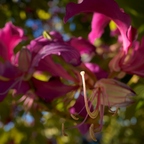R0002728rg