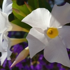 R0003224rg