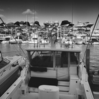 R0003185rg