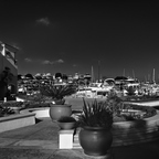 R0003196rg