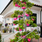 R0003086rg