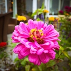 R0003096rg
