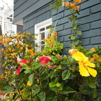 R0003102rg