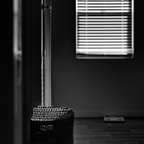 IMGP4423rg