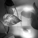R0003649rg