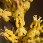 R0003765rg