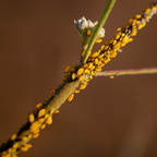 R0003774rg