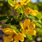 R0003836rg