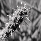R0003822rg